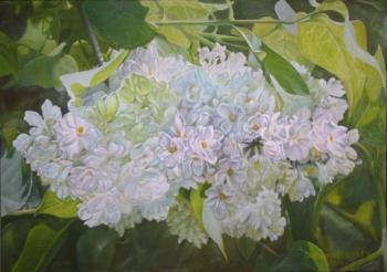 White Lilac. Kudryashov Galina