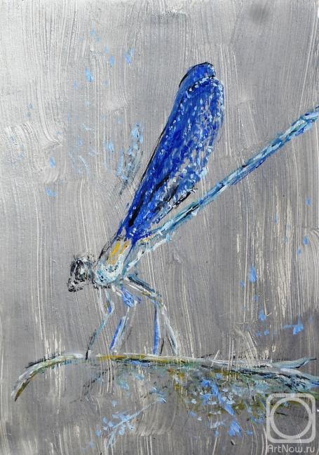 Sechko Xenia. Blue Dragonfly