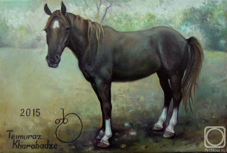 Картина маслом на холсте. Харабадзе Теимураз. Локата