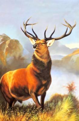 Бруно Августо Жавино. Олень Бруно Августо Жавино. Олень