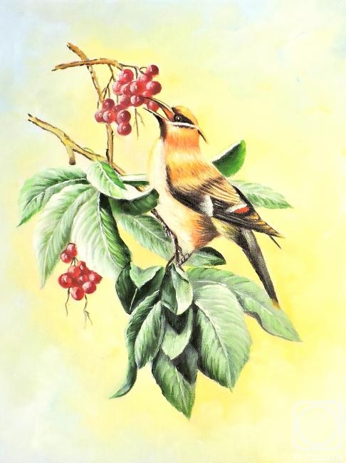 Bruno Tina. Birds