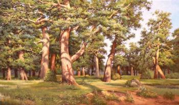 An oak grove