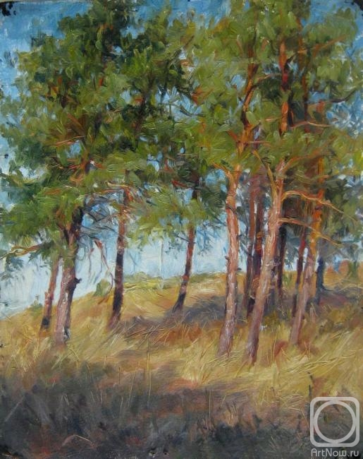 Voronov Vladimir. Study of pines