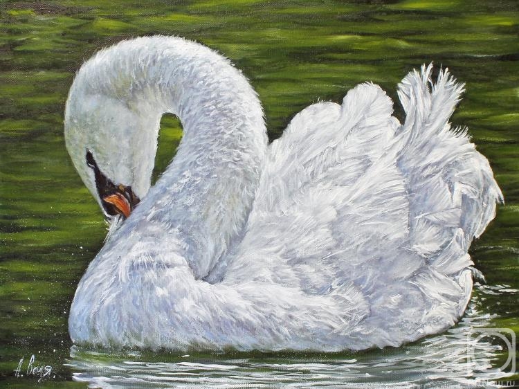 Volya Alexander. Lonely. Swan