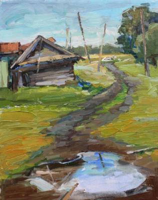 On the road a puddle. Rybina-Egorova Alena