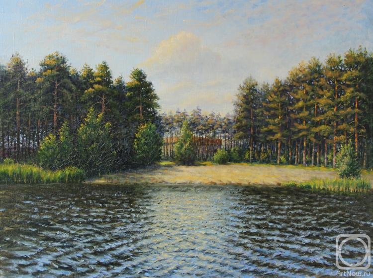 Gladyshev Aleksandr. Lake Svyate. View of the Laser Center