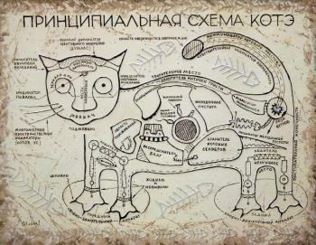 Scheme of kote. Stydenikin Yury
