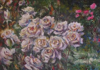 Roses white in the garden. Kruglova Svetlana