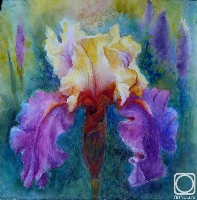 Golub Tatyana. Velvet iris