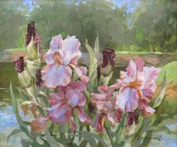 Irises by the river