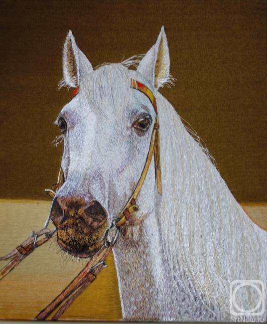 Dyachenko Alyena. White Horse