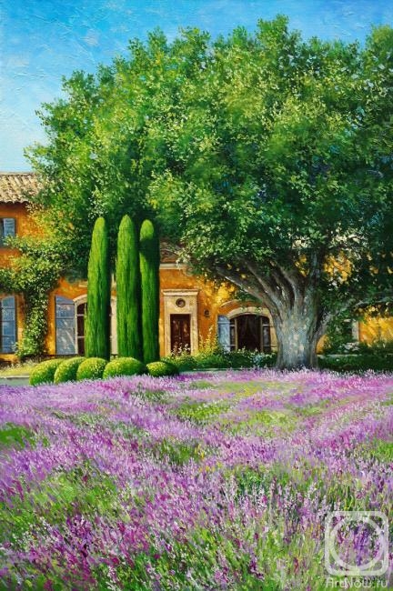 Картина маслом на холсте. Жалдак Эдуард. Пейзаж с лавандой