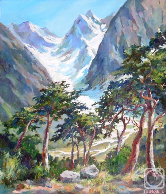Grosa Ludmila. Mountain pines
