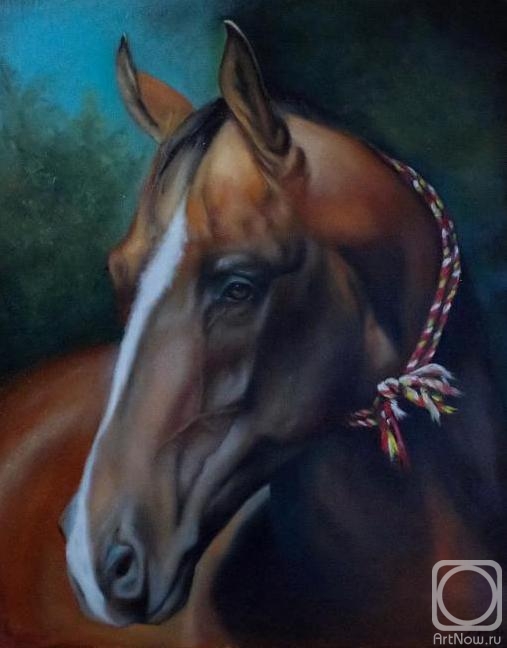 Lygina Lyudmila. Horse portrait