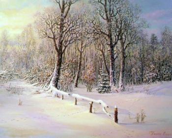 Winter morning. On surburb of a forest. Panin Sergey