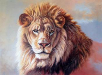 Lion. Bruno Augusto