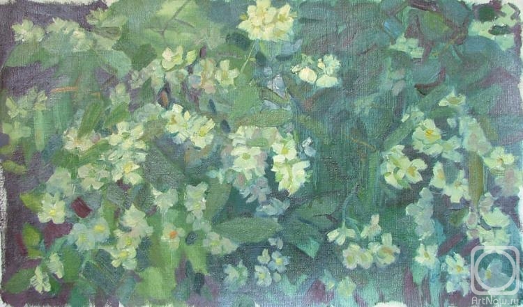 Картина маслом на холсте. Зернова Екатерина. Цветущий жасмин