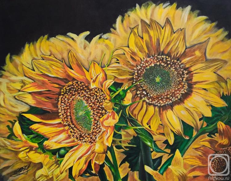 Savelyshkina Yulia. Sunflowers