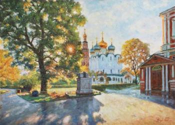 The beauty of the light. Novodevichy convent (). Razzhivin Igor