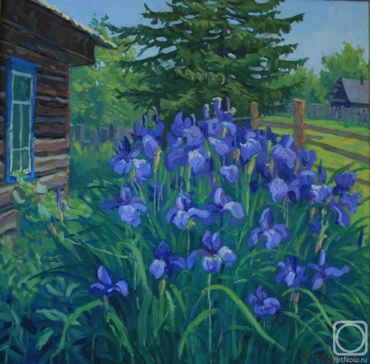 Zhuk Sergei. Irises