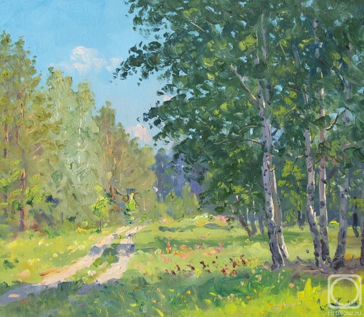 Alexandrovsky Alexander. Road in forest. Summer