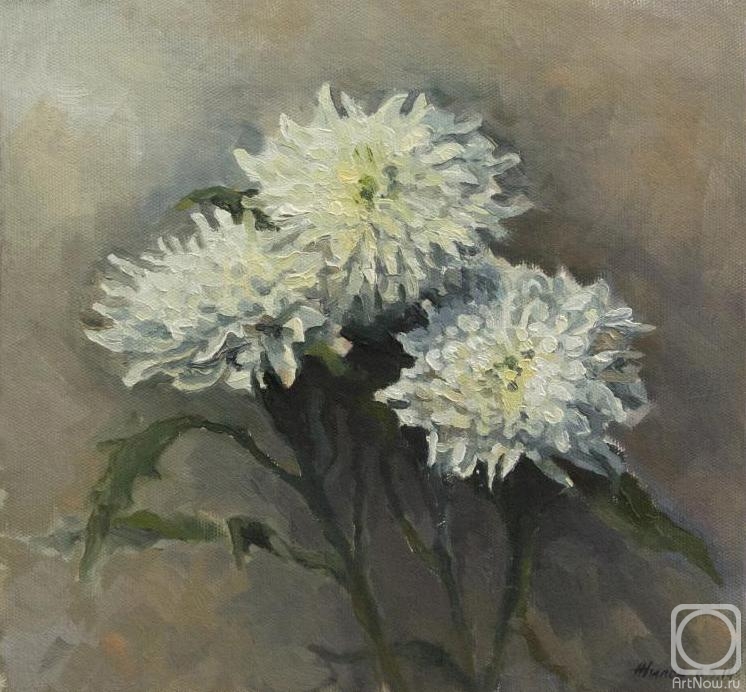 Zhilov Andrey. Chrysanthemums