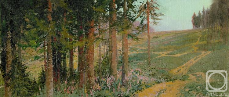 Chernov Denis. Firs and Fireweed