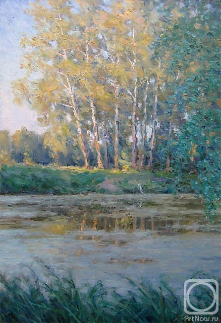 Gaiderov Michail. Overgrown pond