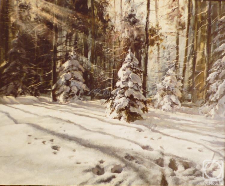 Kozyakov Boris. Snowy forest