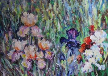 Irises in the garden. Kruglova Svetlana