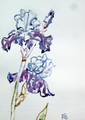 Blue iris. Sechko Xenia