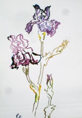 Raspberry iris. Sechko Xenia