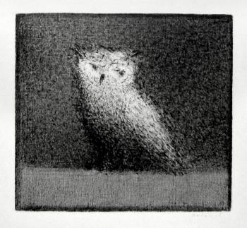 Owl. Dedushev Alexander