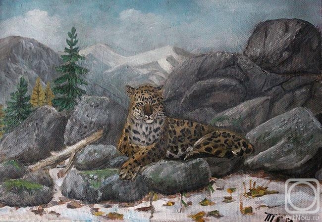 Tertychnaya Natalya. Far Eastern leopard