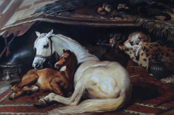Copy of a picture E. G. Landseer "The Arab racers"
