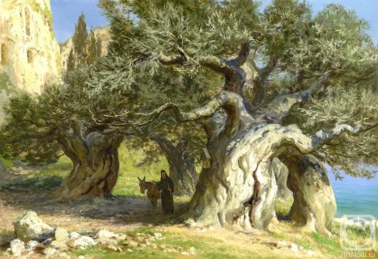 Efoshkin Sergey. Among the ancient olives