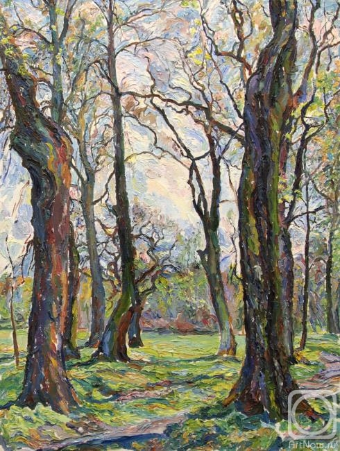 Stroganov Leonid. Oak trees