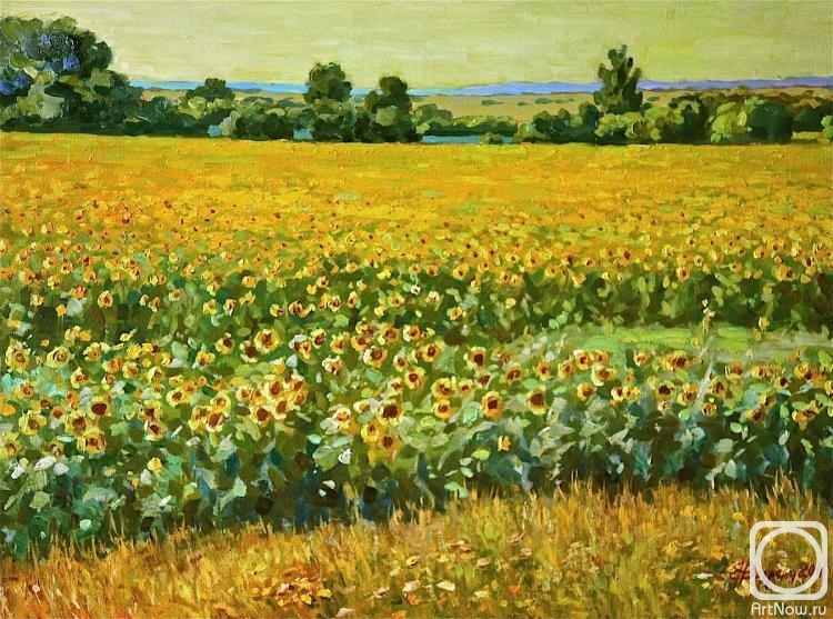 Vyrvich Valentin. Sunflower field