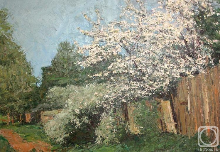 Rubinsky Igor. Apple-trees in blossom