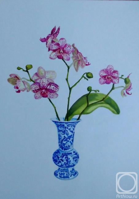 Himich Alla. Tiger orchid