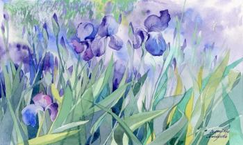 Irises