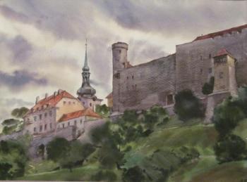 Tallinn. Vyshgorod. Lapovok Vladimir