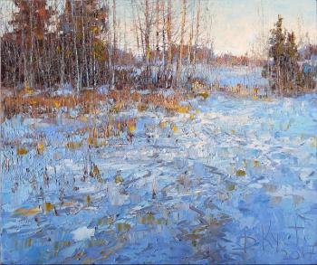 Morning on the frozen lake. Kustanovich Dmitry