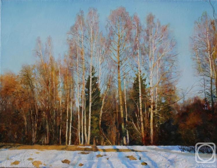 Egorov Viktor. Spring in Gatchina. Silver birch trees