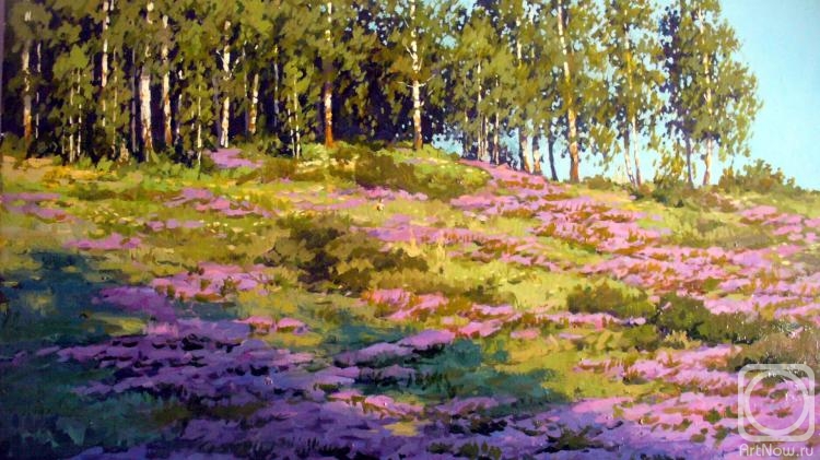 Fyodorov Vladymir. Clover hillside