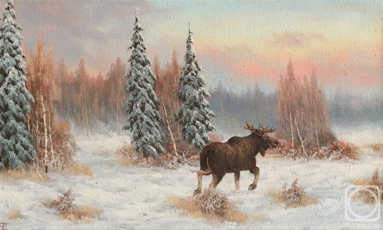 Lyamin Nikolay. Winter, moose