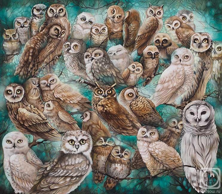 Sokolova Nadya. Owls