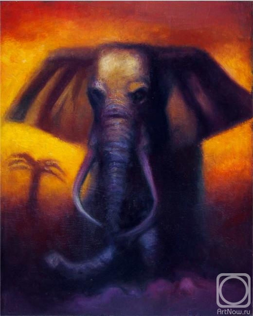 Markevich Maxim. Elephant