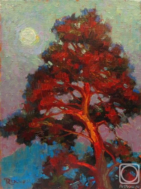 Volkov Sergey. Pine tree (etude)