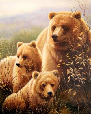 Bears. Smorodinov Ruslan